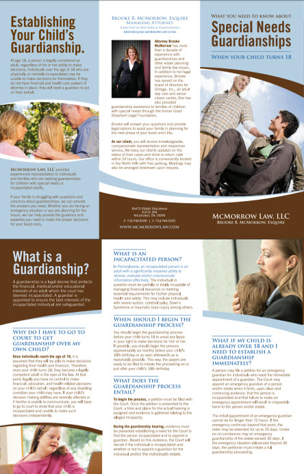 small screenshot of guardianship brochure, click on image to open PDF